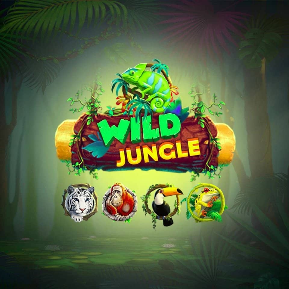 jogos win