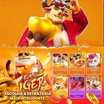 5597bet
