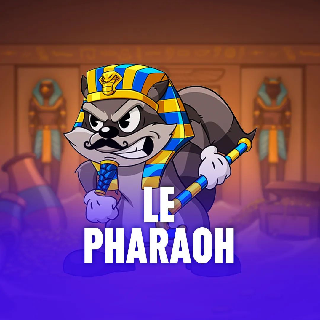 66bra