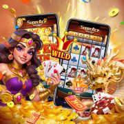 2233bet